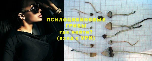 дмт Арсеньев