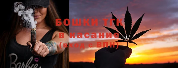 дмт Арсеньев