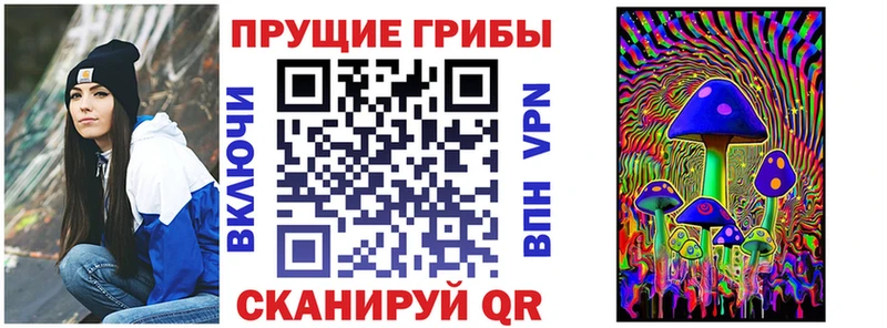 Галлюциногенные грибы Cubensis Чехов